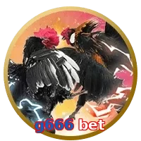 g666 bet
