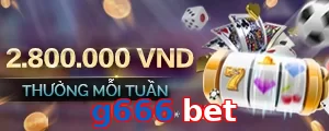 g666 bet