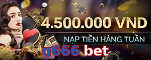 g666 bet