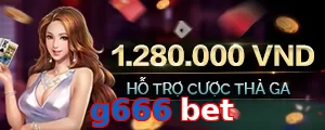 g666 bet