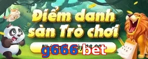 g666 bet