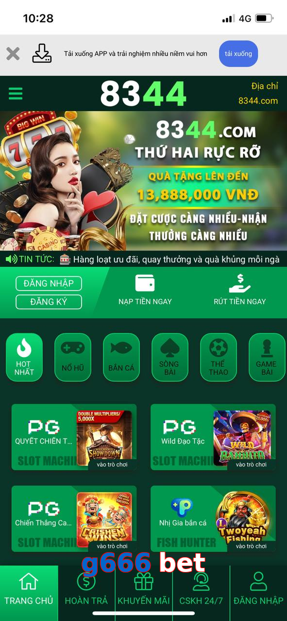 g666 bet